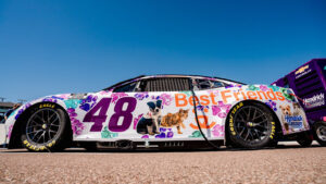 Alex Bowman 2024 Ally Best Friends paint scheme Hendrick Motorsports NASCAR Cup Series