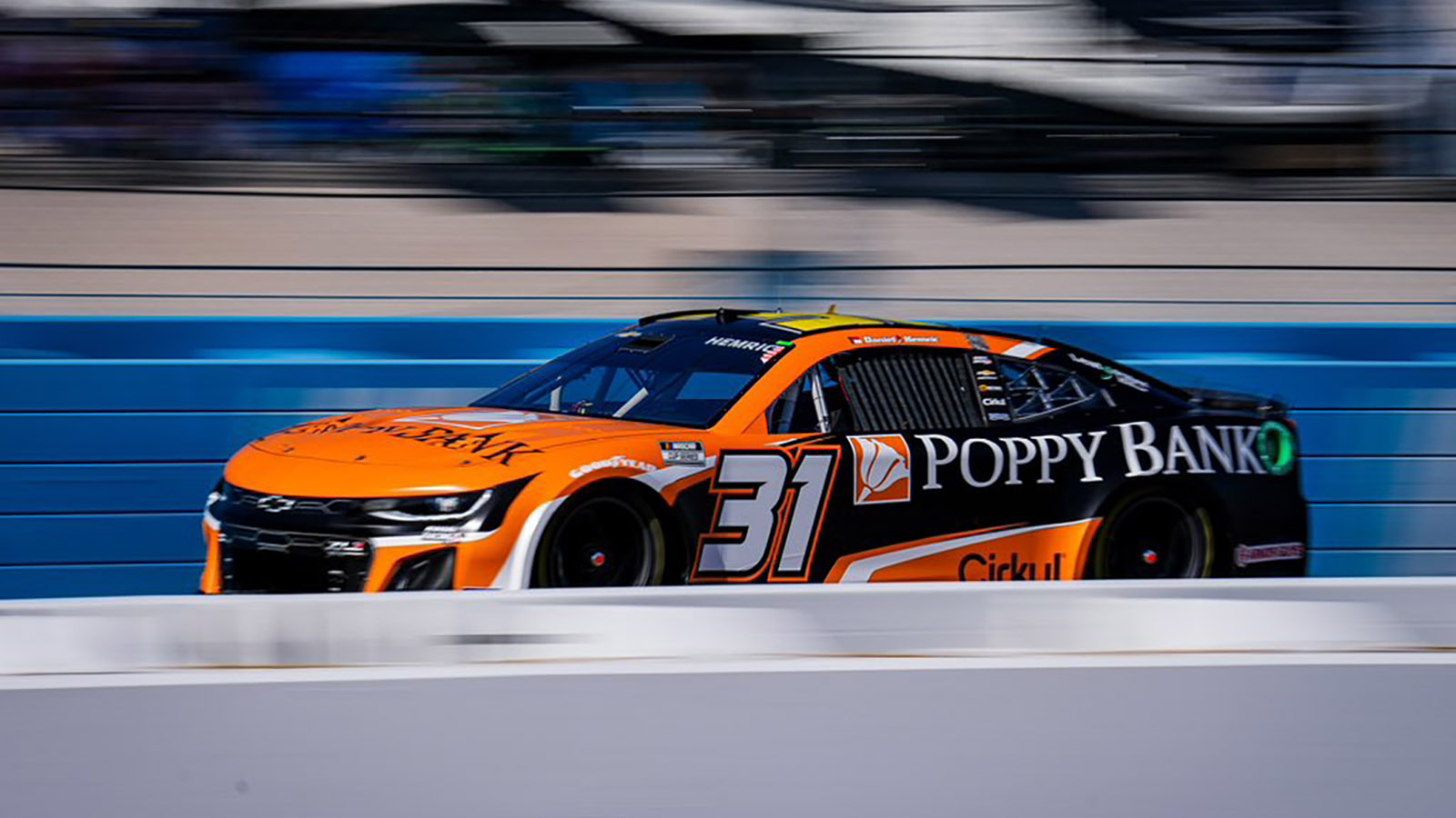Daniel Hemric 2024 Poppy Bank paint scheme Kaulig Racing NASCAR Cup Series