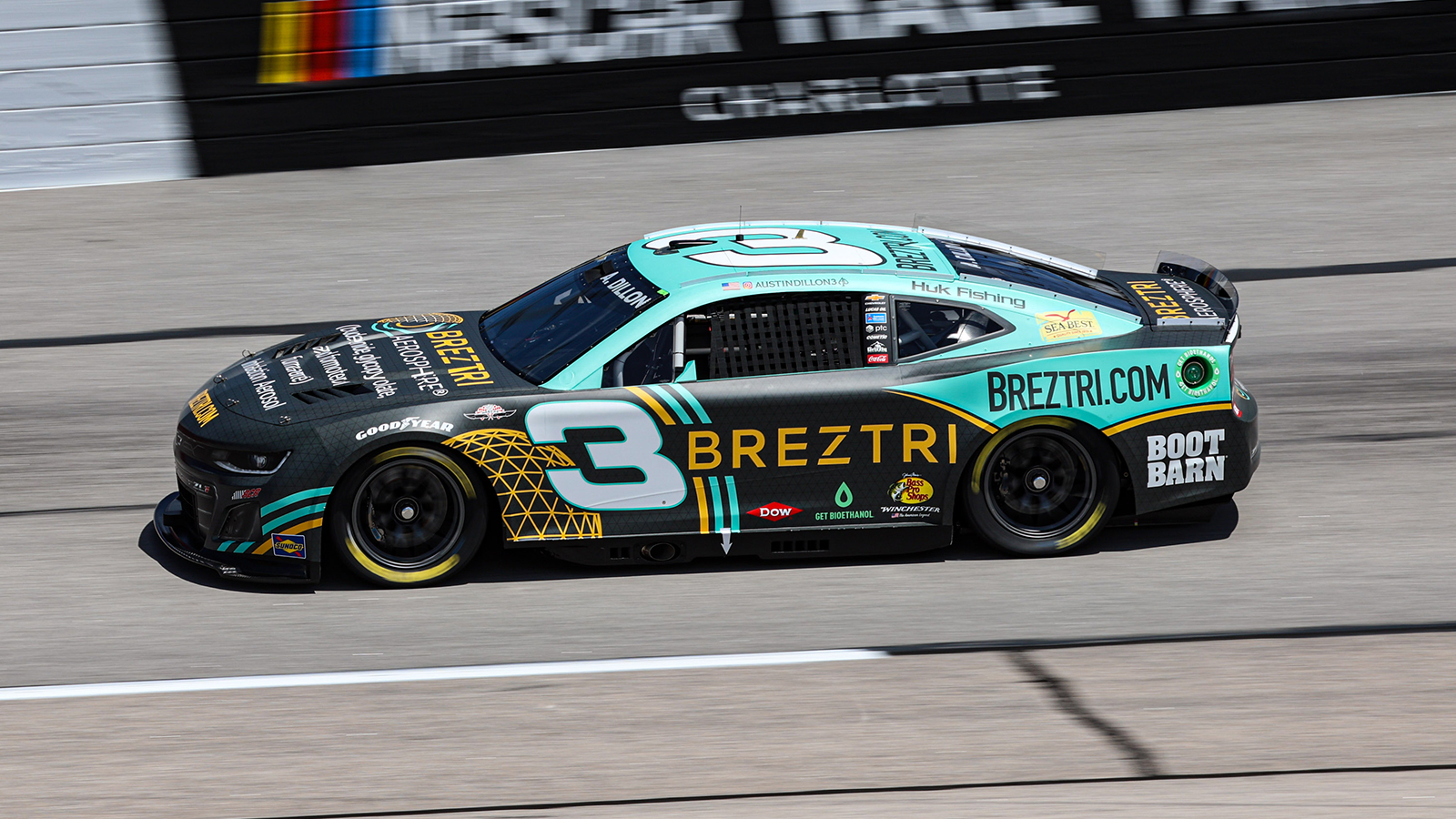 Austin Dillon 2025 BREZTRI paint scheme Richard Childress Racing NASCAR Cup Series